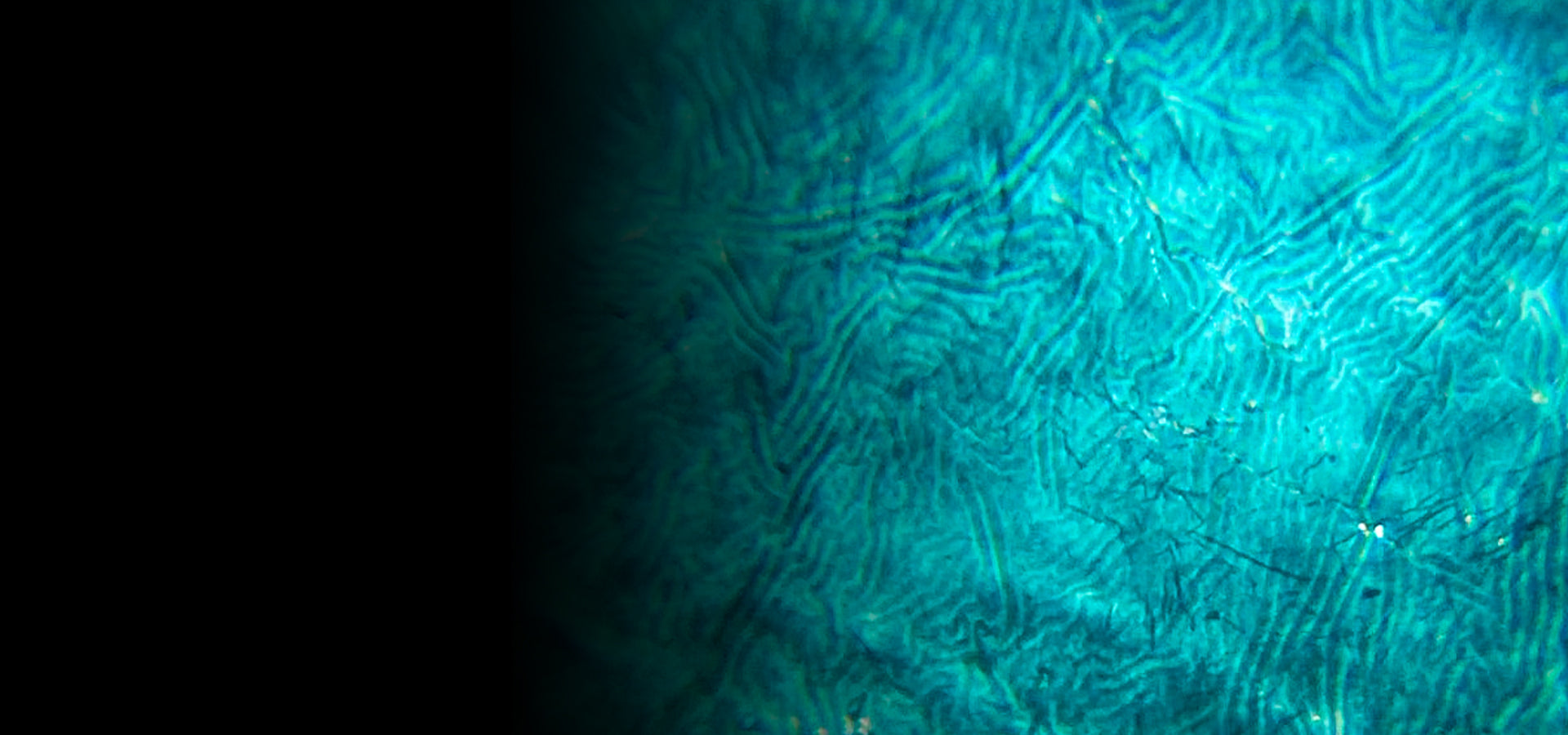 slider image slider_item_Py6aA4
