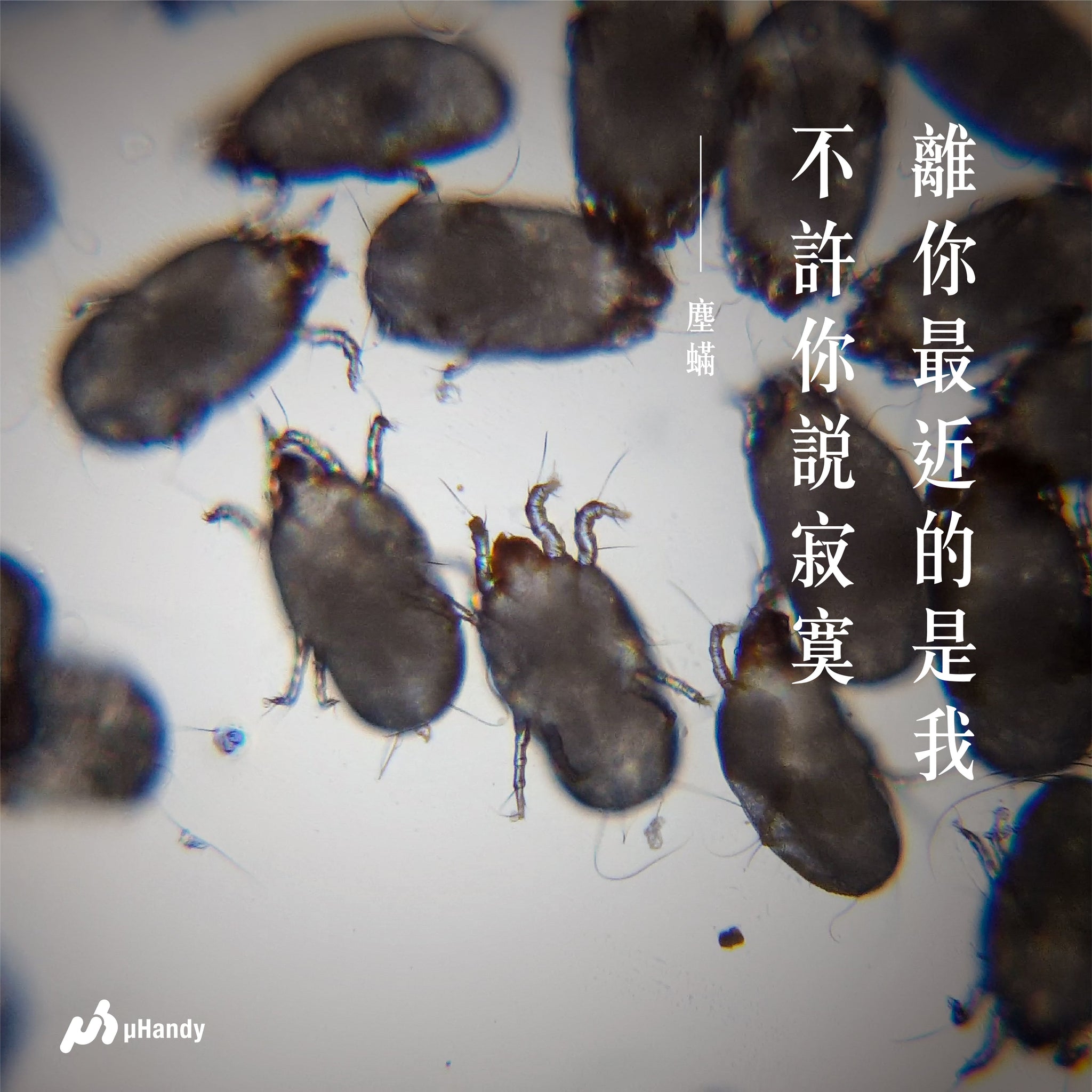 螳螂、青蛙、天堂鳥和蟑螂如何耍浪漫？情人節告白金句大公開！