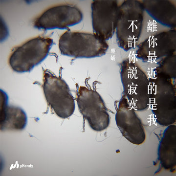 螳螂、青蛙、天堂鳥和蟑螂如何耍浪漫？情人節告白金句大公開！