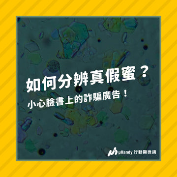 如何分辨真假蜂蜜？顯微鏡下的蜂蜜，竟然有花粉和蜜蜂腿？