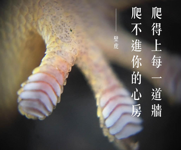 看穿你的真面目！uHandy 舉辦全台第一個手機顯微攝影展
