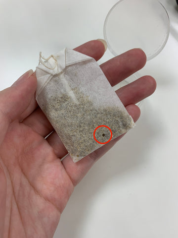 動起來的茶葉碎屑、還讓茶包破了洞？認識茶香與菸草的小精靈——菸甲蟲