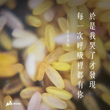 看穿生活的真面目！uHandy 舉辦全台第一個手機顯微攝影展《不完美交易所》