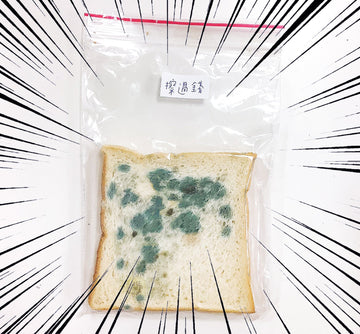 洗手真的有用嗎？超噁心吐司發霉實驗，臉跟錢竟然能長出這麼多黴菌？