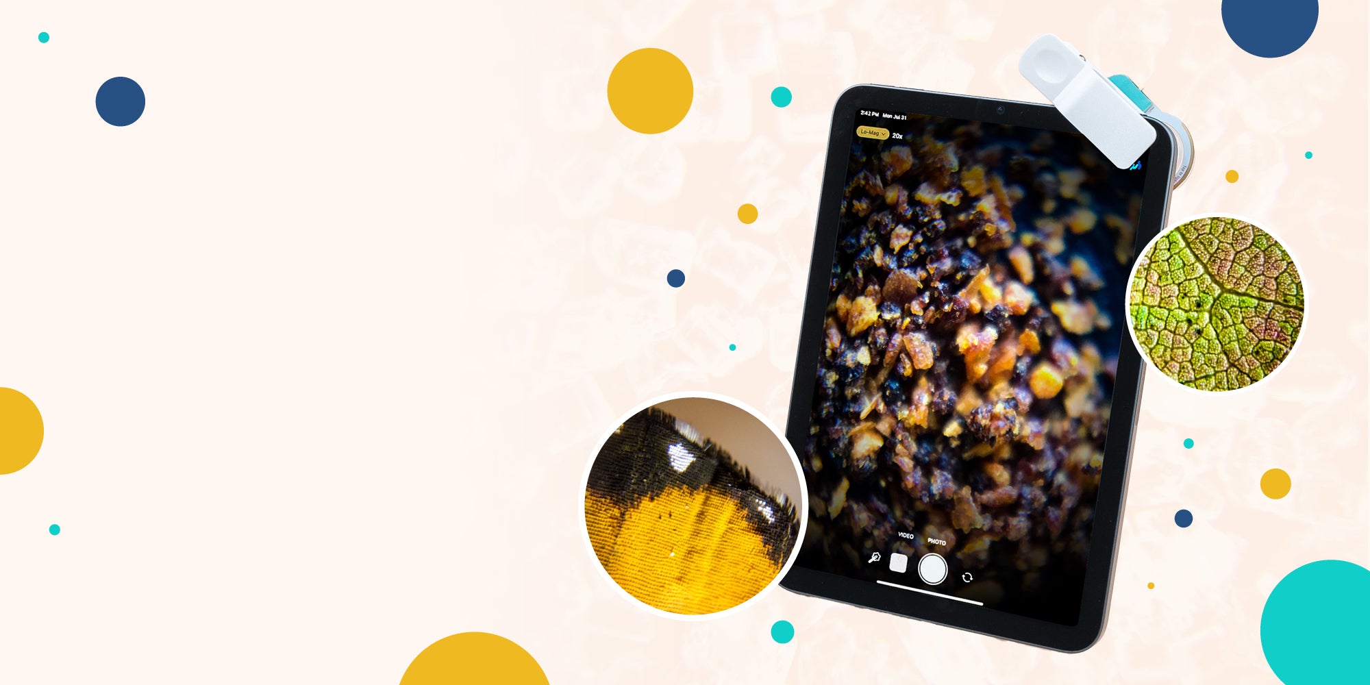 slider image slider_item_XWdajF