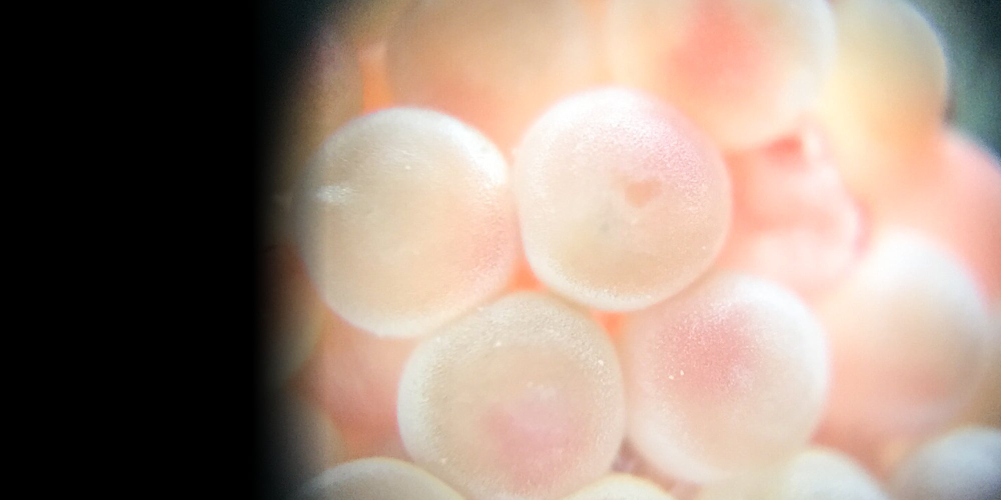 slider image slider_item_LgjBEL