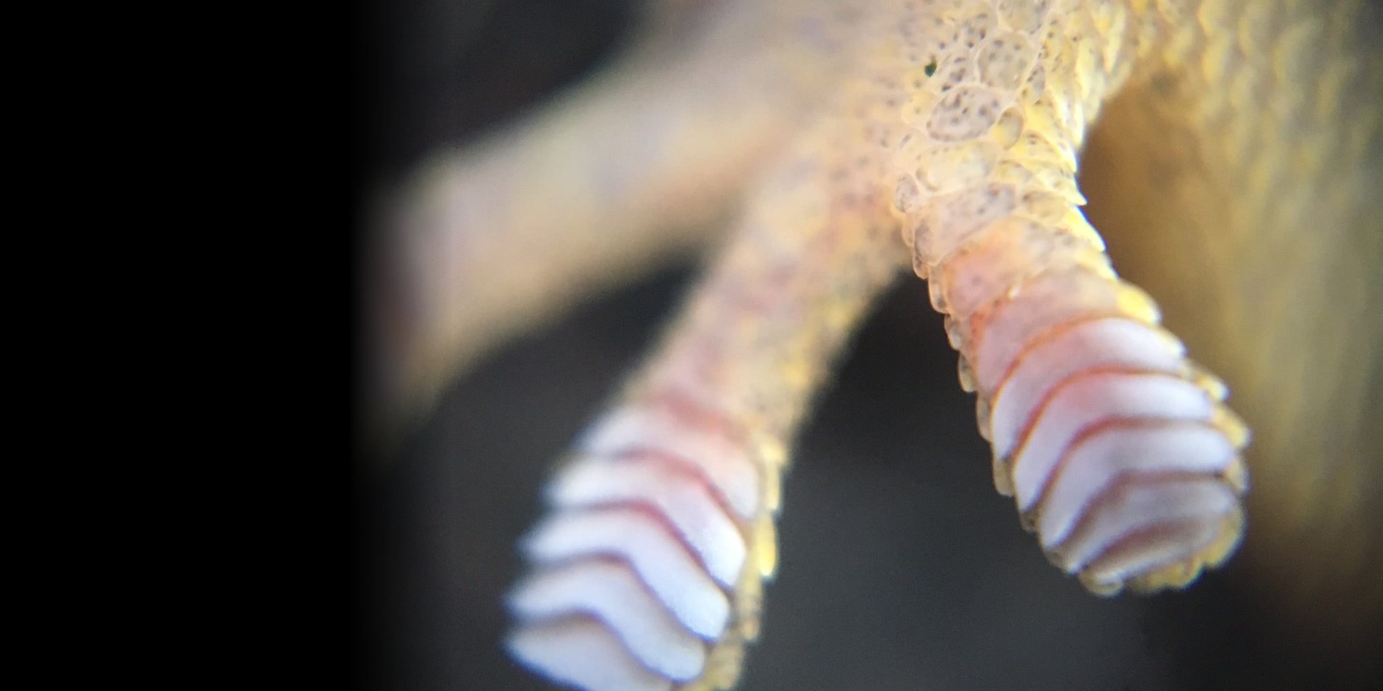 slider image slider_item_Y4FgPy