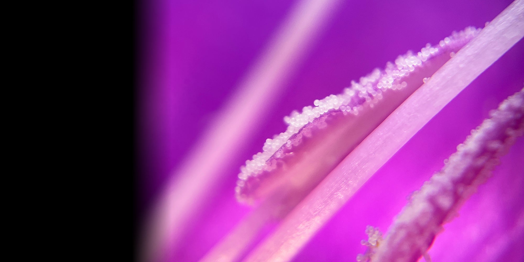 slider image slider_item_dtMN7Q