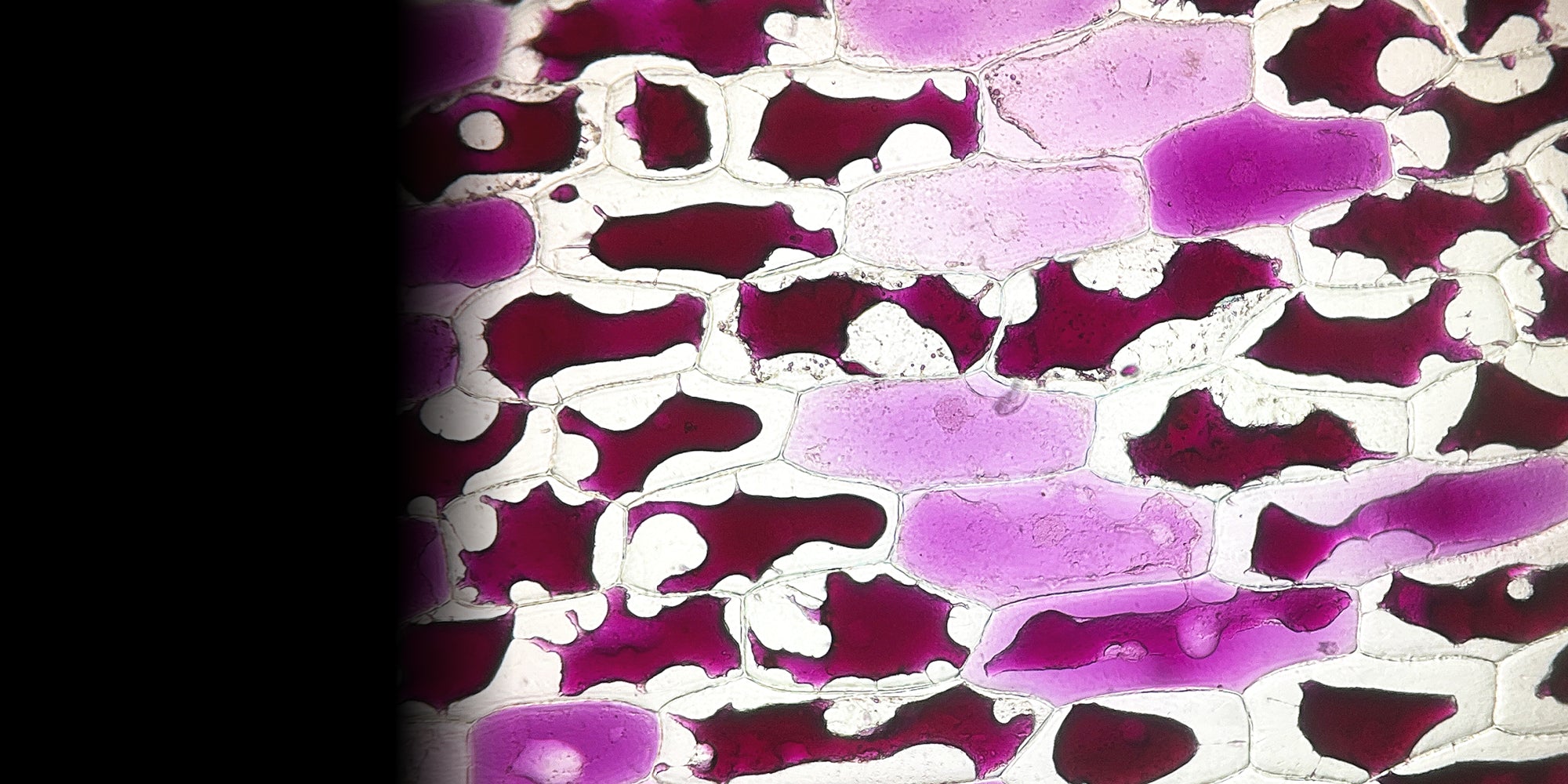 slider image slider_item_3ALCbe