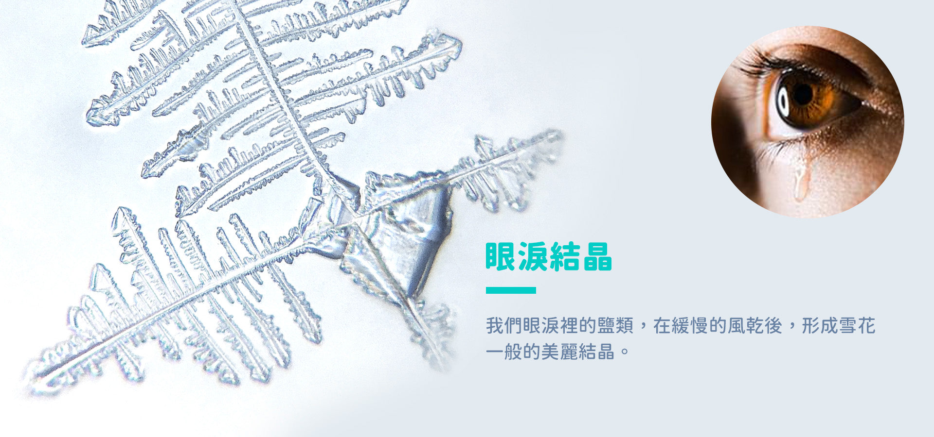 slider image slider_item_BTzkQd