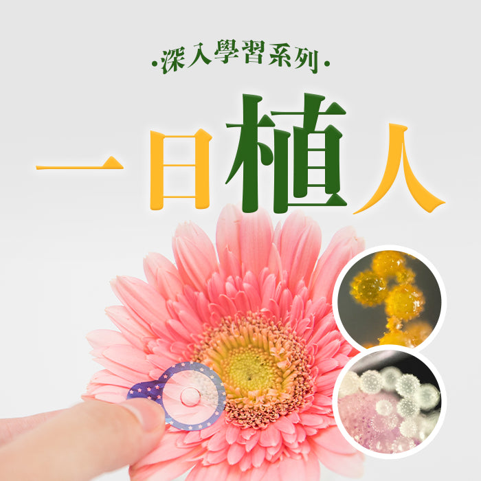 深入學習系列｜一日「植」人｜公館教室