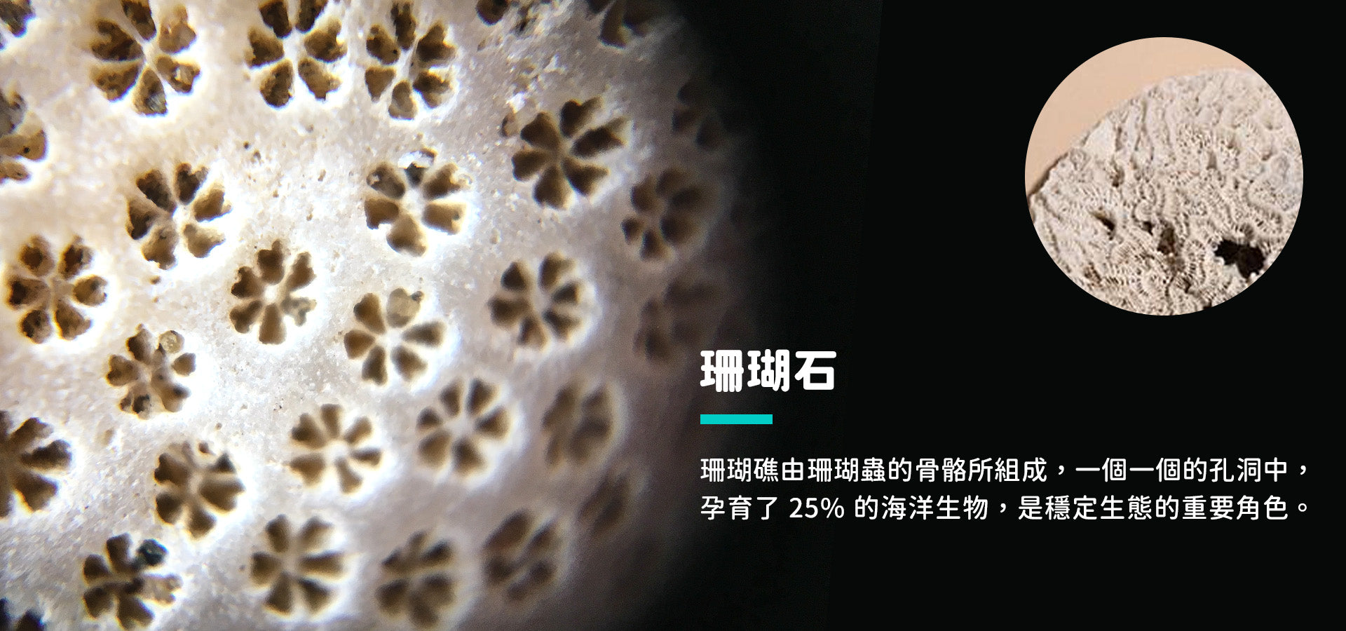 slider image slider_item_ggjqxb