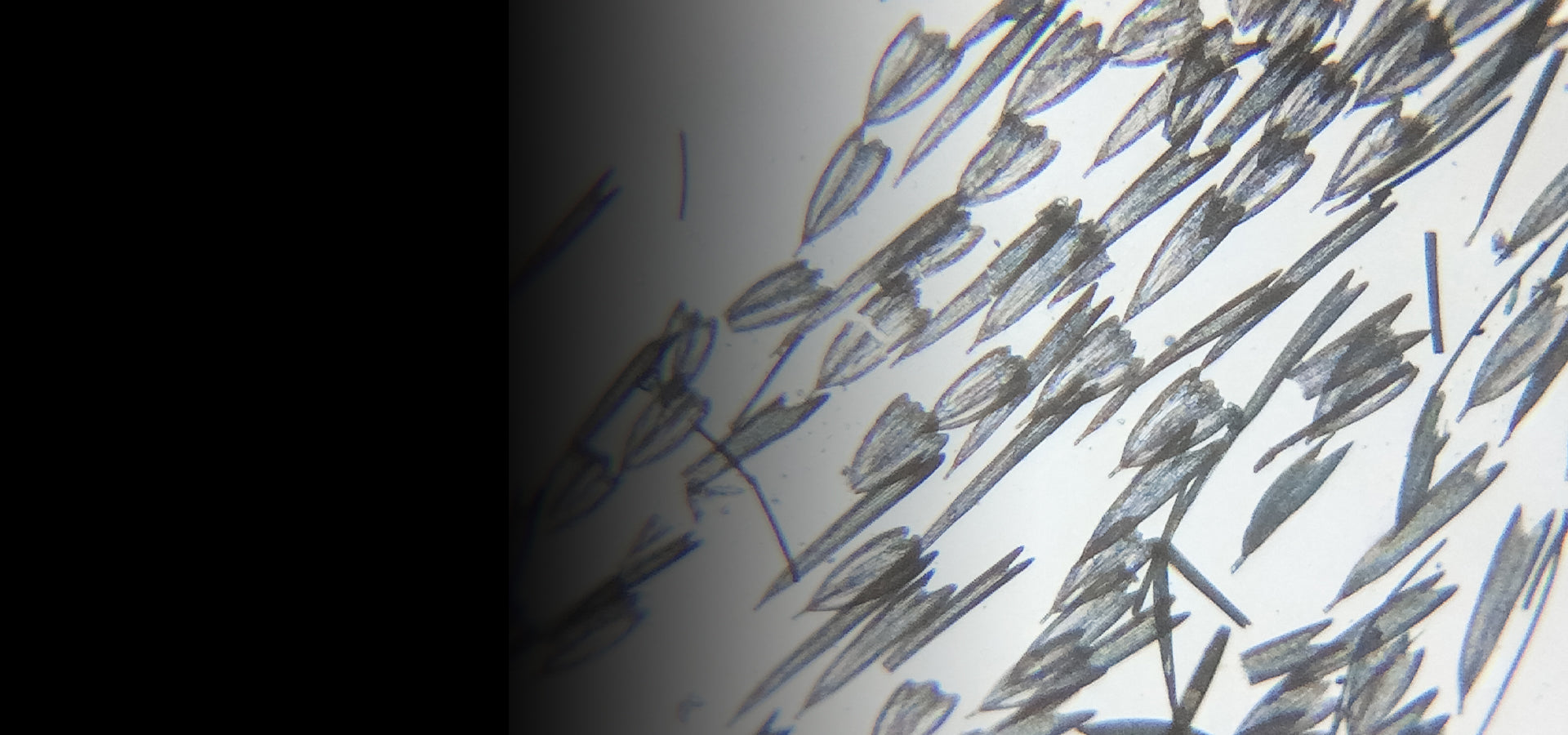 slider image slider_item_EG3NWf