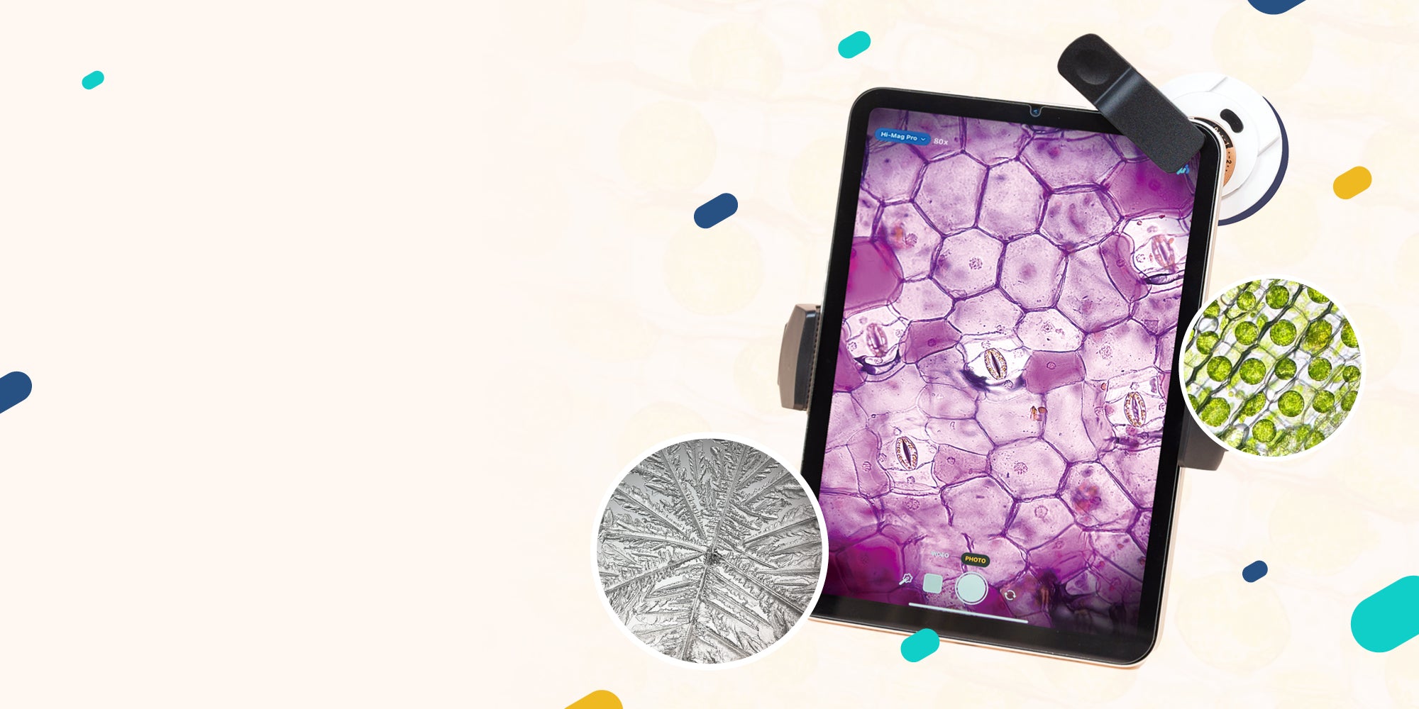 slider image slider_item_XWdajF